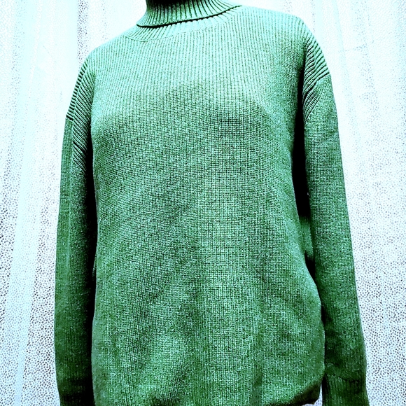 Plus Size Avacado Turtleneck with Split Sides  Plus Size - Picture 12 of 13